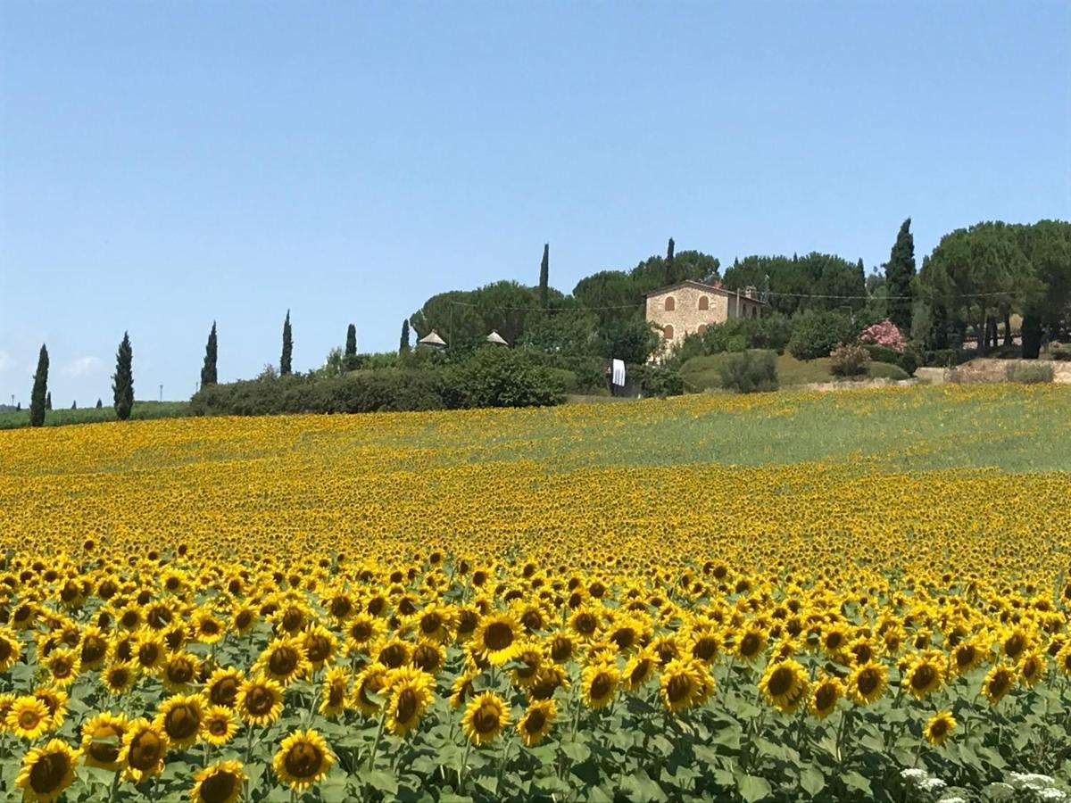 Bed and Breakfast Il Vecchio Seccatoio Solomeo Экстерьер фото
